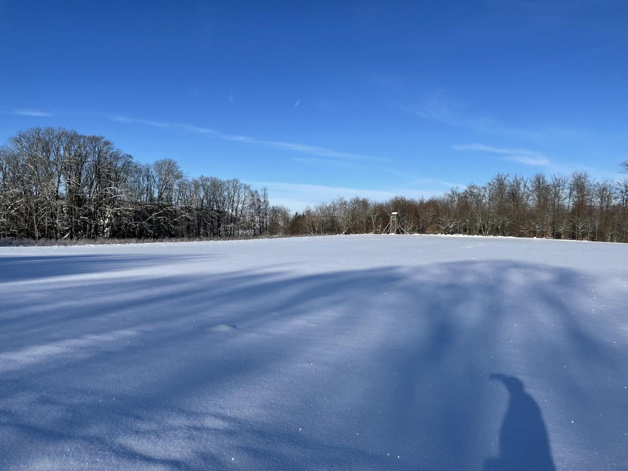 Gittas Paradiesperle Niederdreisbach 外观 照片