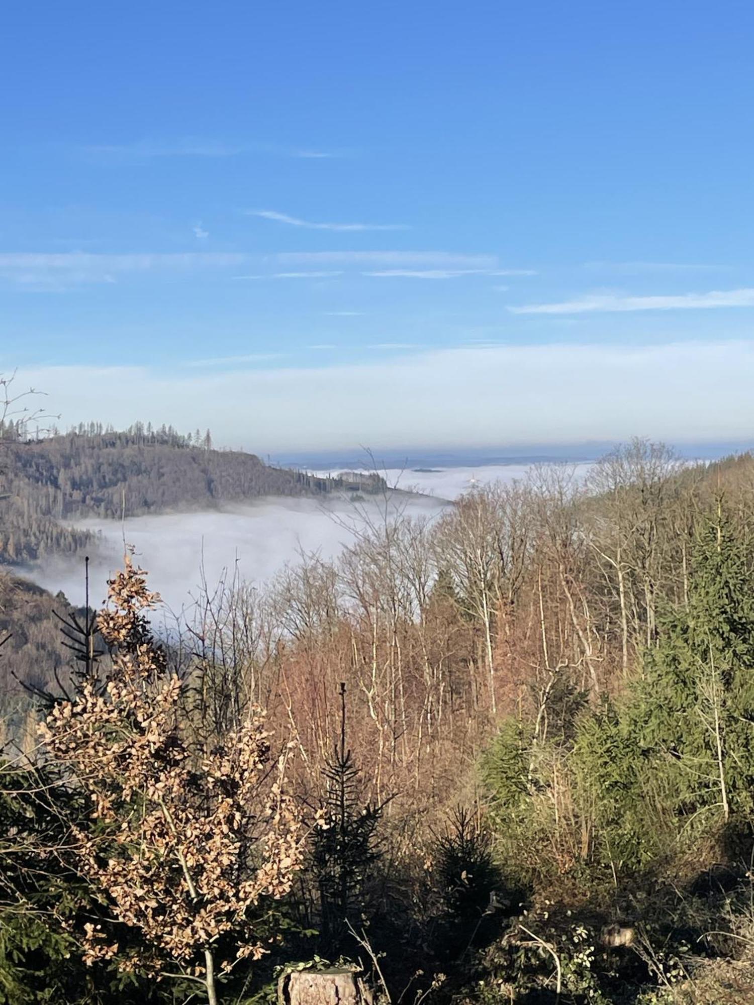 Gittas Paradiesperle Niederdreisbach 外观 照片