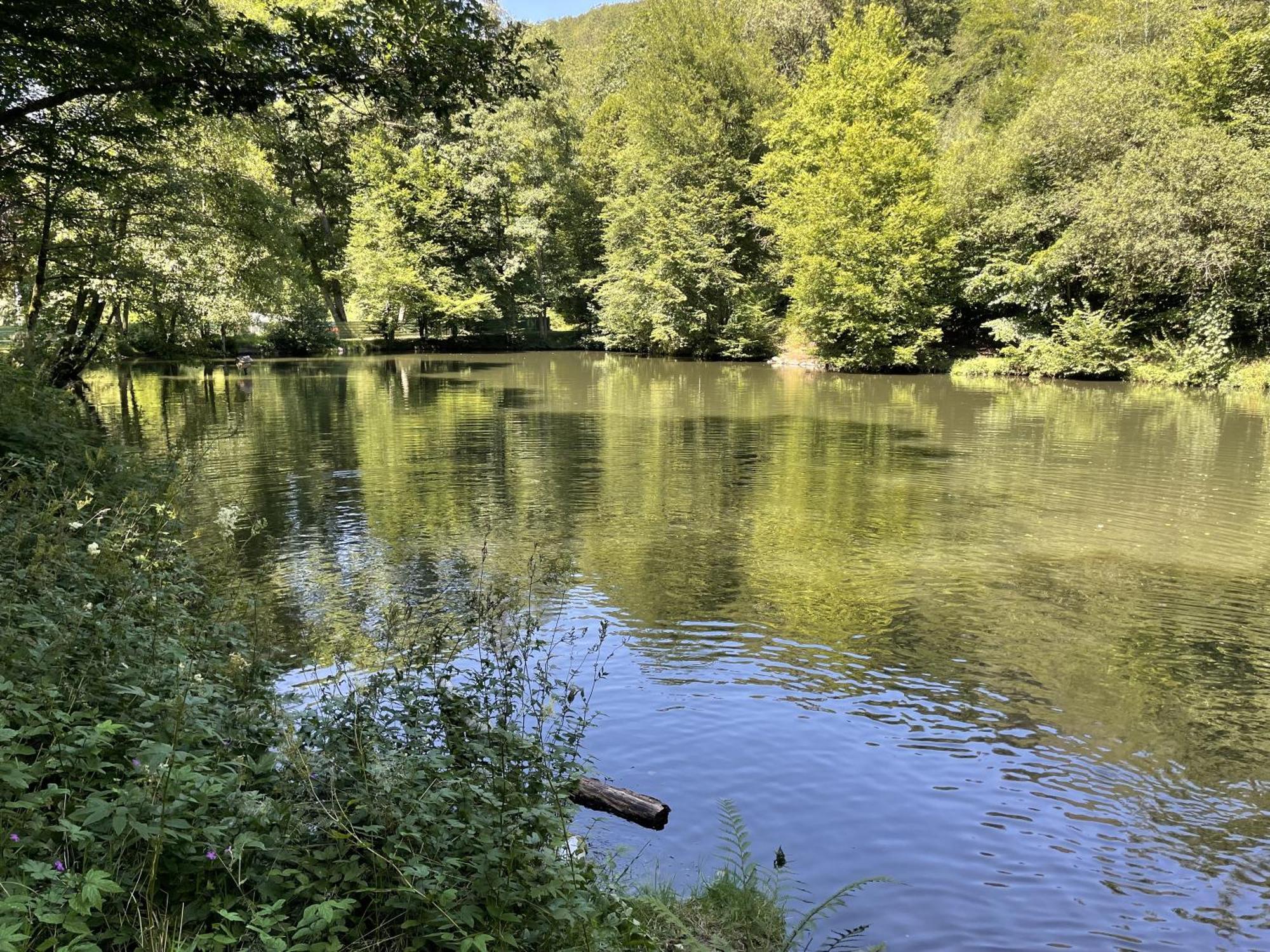 Gittas Paradiesperle Niederdreisbach 外观 照片