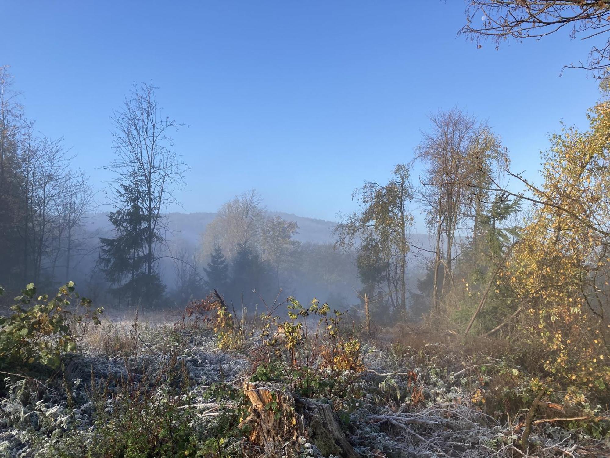 Gittas Paradiesperle Niederdreisbach 外观 照片
