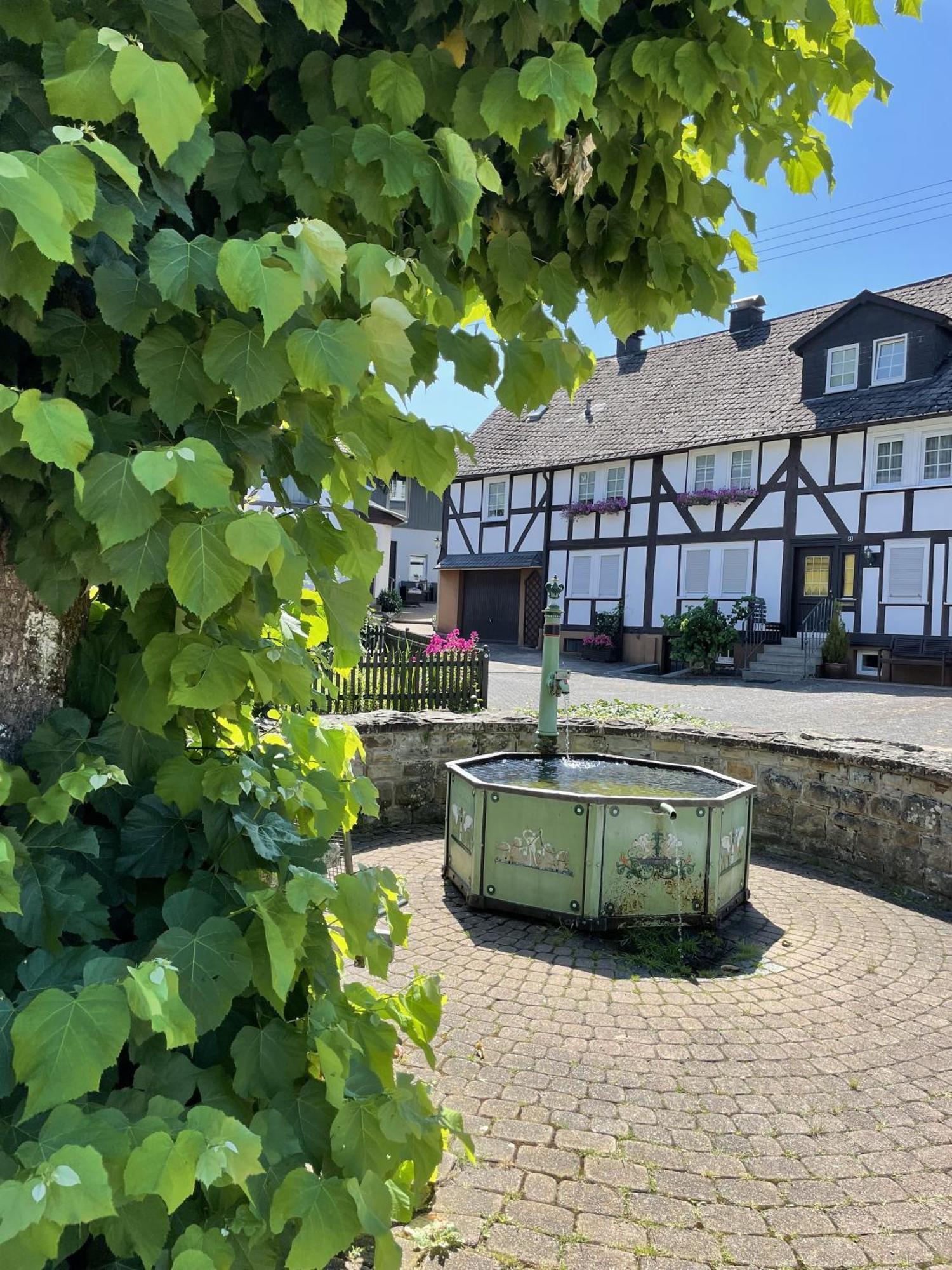 Gittas Paradiesperle Niederdreisbach 外观 照片