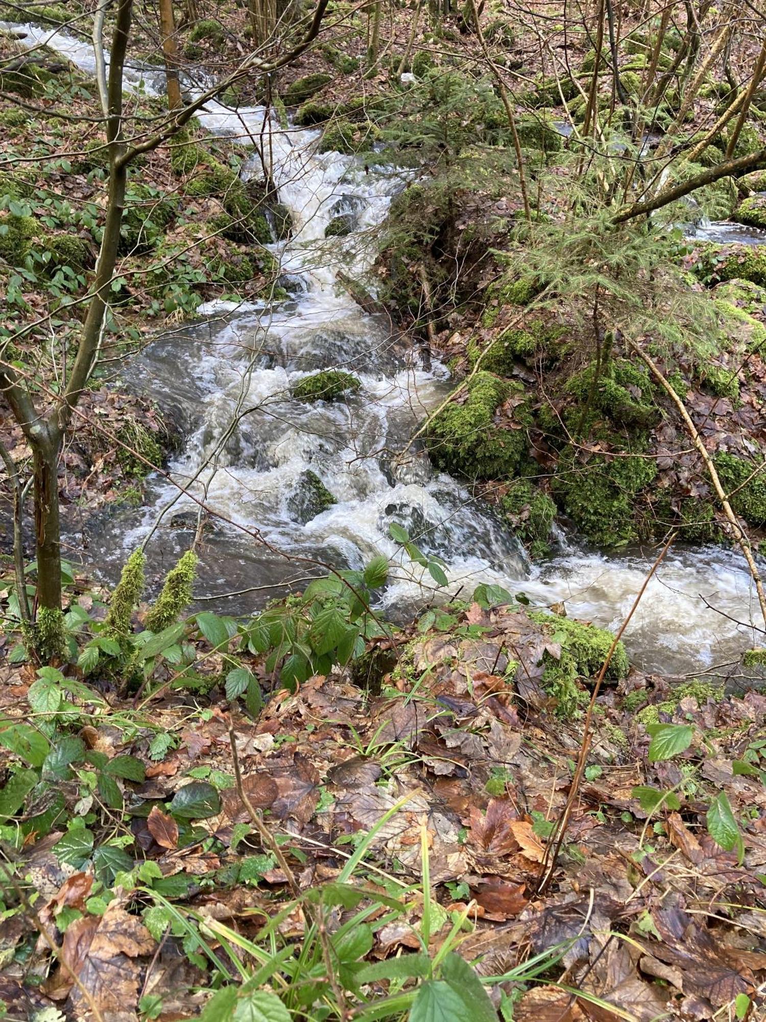 Gittas Paradiesperle Niederdreisbach 外观 照片