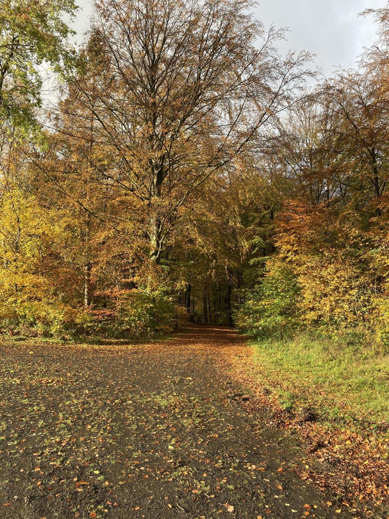 Gittas Paradiesperle Niederdreisbach 外观 照片